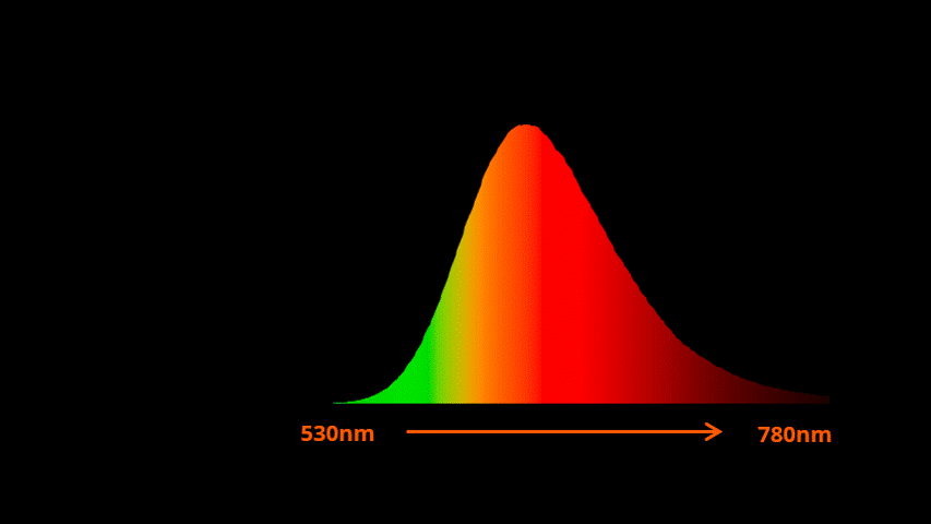 flamewarm spectrum and m/p measurement