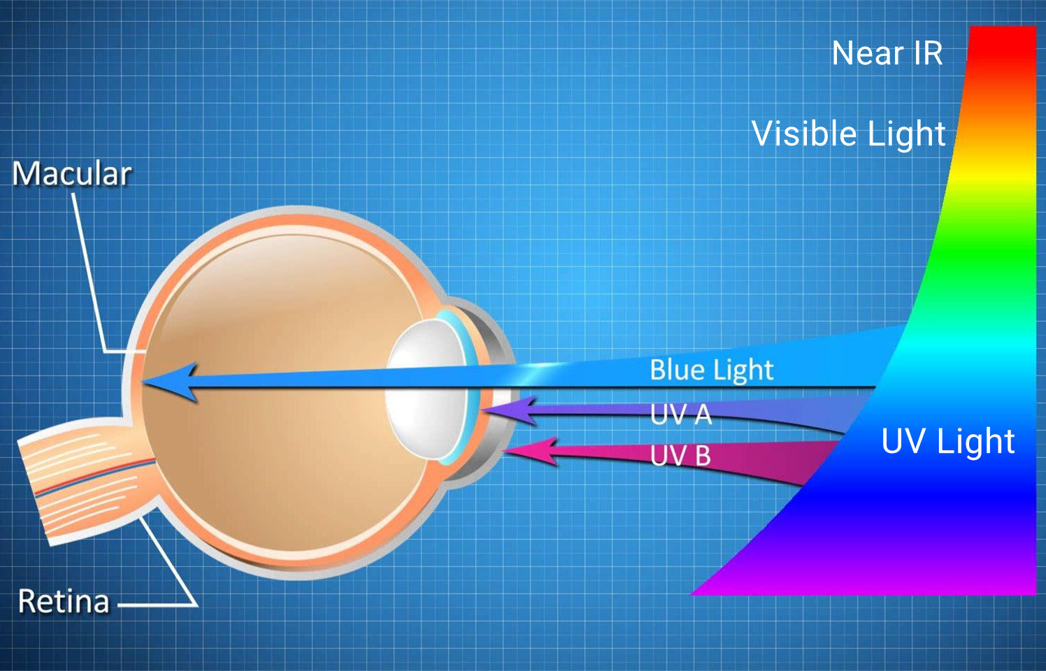 Blue light hazard