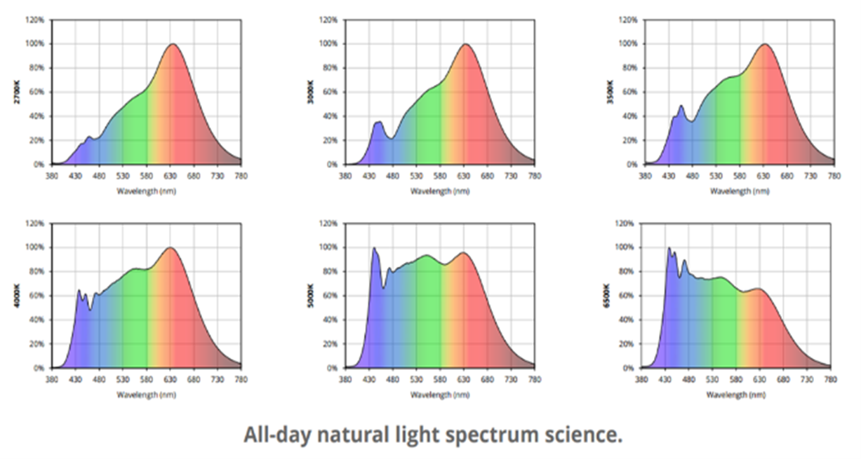 all day natural light spectrum science