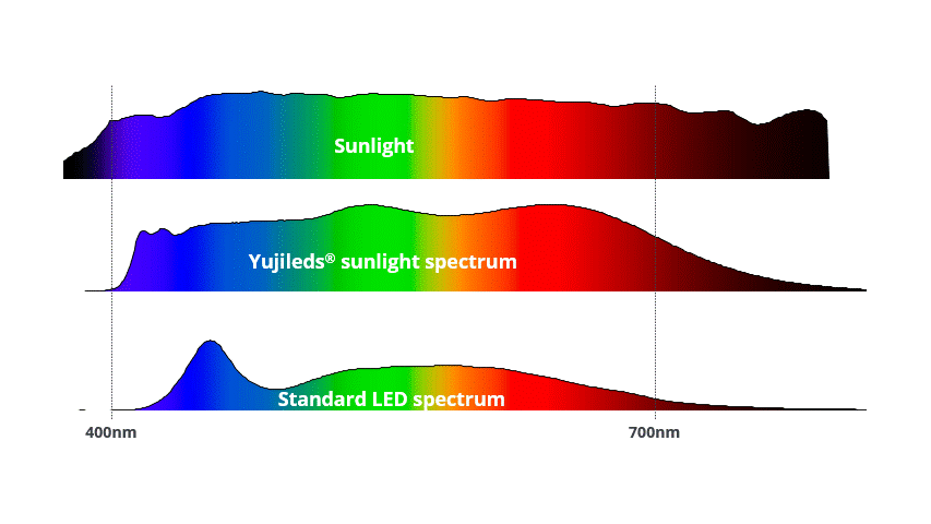 sunlight and yuji lighting sunwave spectrum comparison